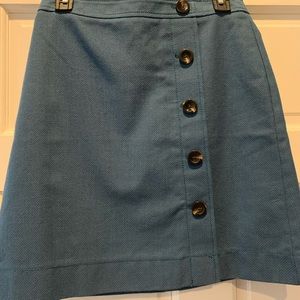 Ann Taylor blue skirt